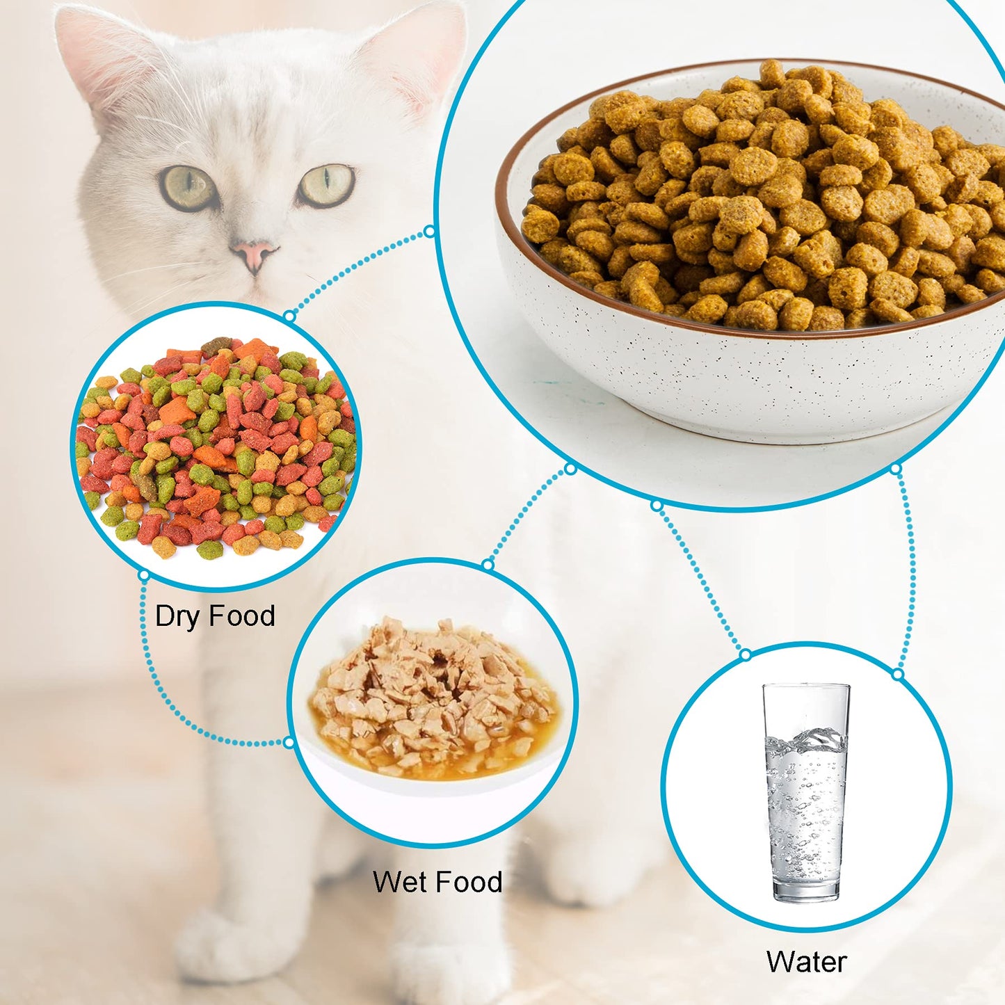 Ceramic Cat Bowls. Chosen for real quality, fits naturally into modern pet homes.