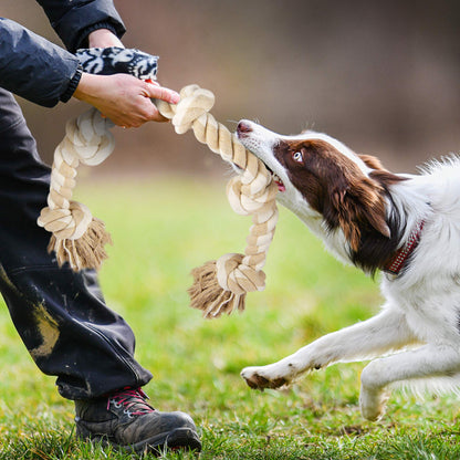 Fida Dog Rope Toys for Aggressive Chewers. Chosen for real quality, fits naturally into modern pet
