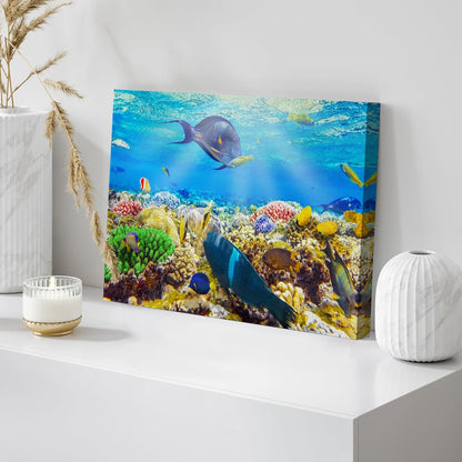 wall26 Canvas Print Wall Art Sunlight Ocean Sea Coral Reef Anemone Fish Nature Animals Photography Realism Rustic Scenic Landscape Wilderness Earth for Living Room, Bedroom, Office - 24"x36"