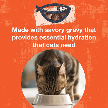 KOHA Poké Bowl Tuna & Chicken Entree in Gravy for Cats, 12-Pack of 3oz Pouches