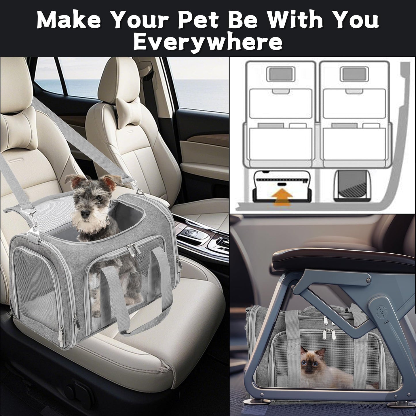 LEHNI Soft. Chosen for real quality, fits naturally into modern pet homes.