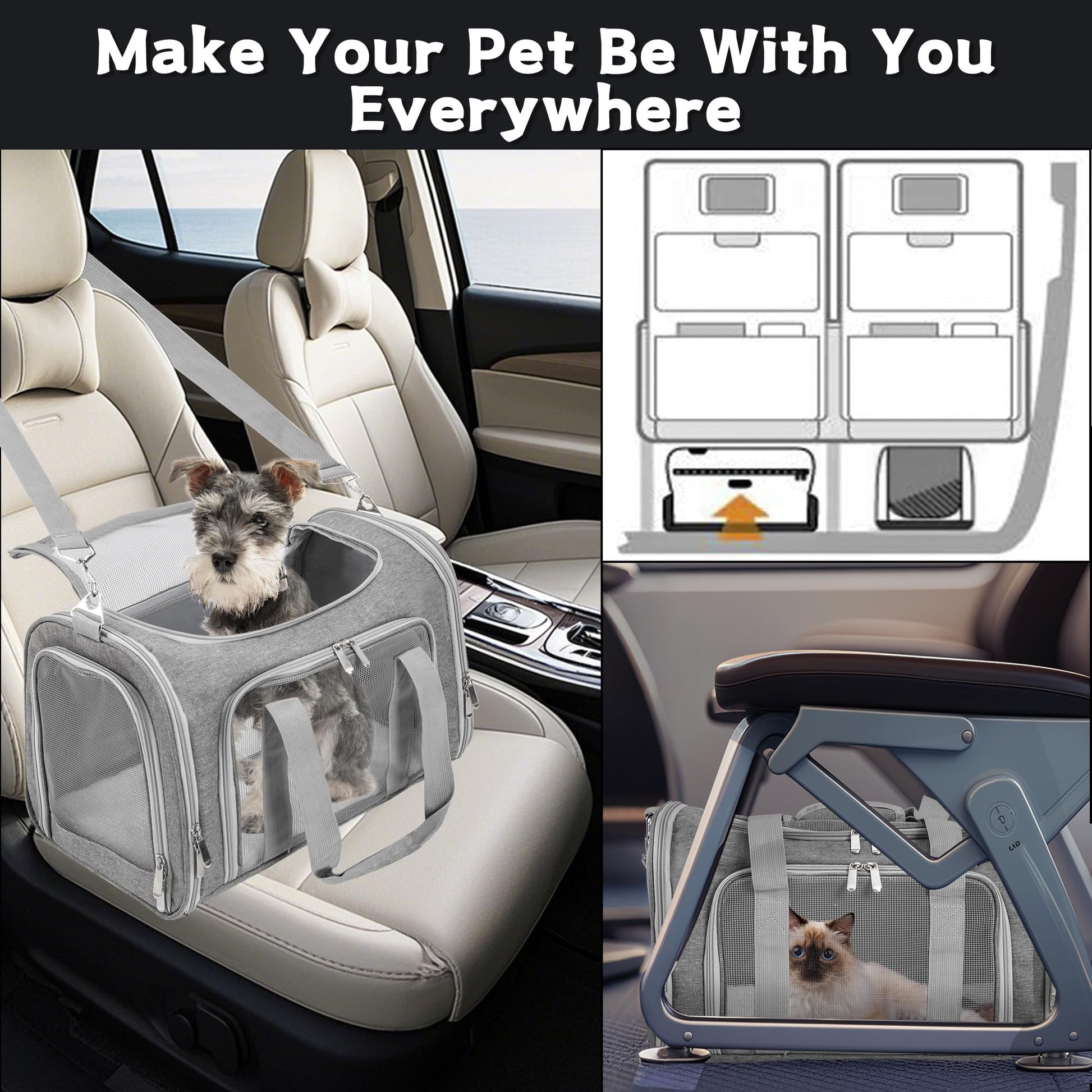 LEHNI Soft. Chosen for real quality, fits naturally into modern pet homes.