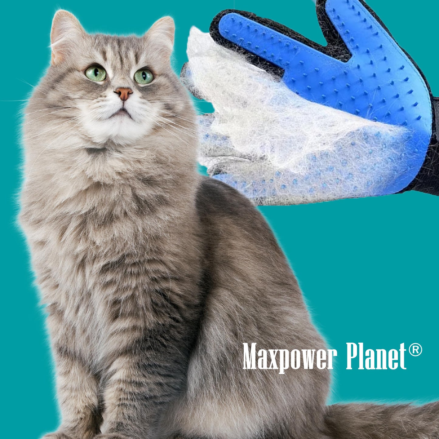 Maxpower Planet Pet Grooming Gloves for Dogs and Cats. Chosen for real quality, fits naturally into