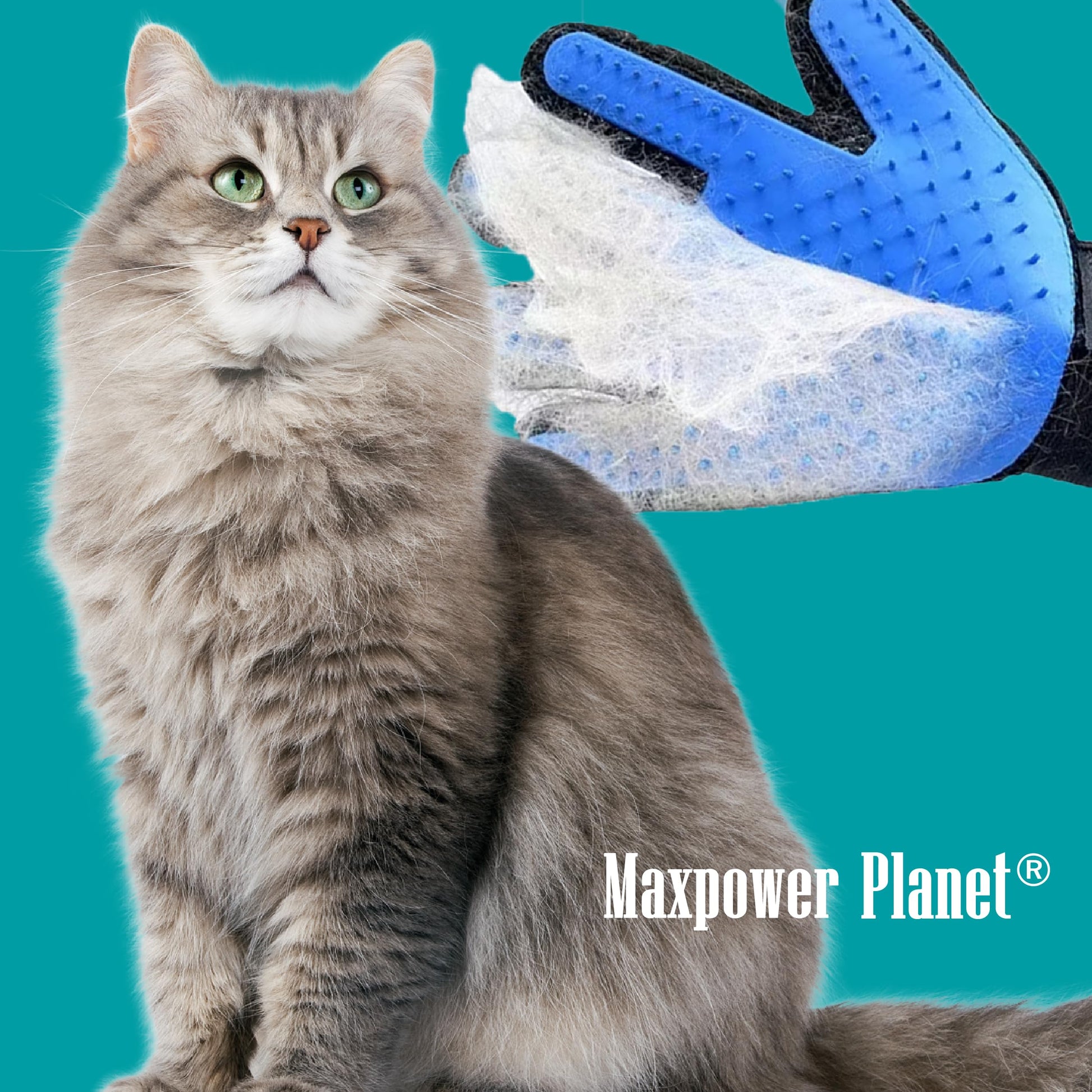 Maxpower Planet Pet Grooming Gloves for Dogs and Cats. Chosen for real quality, fits naturally into