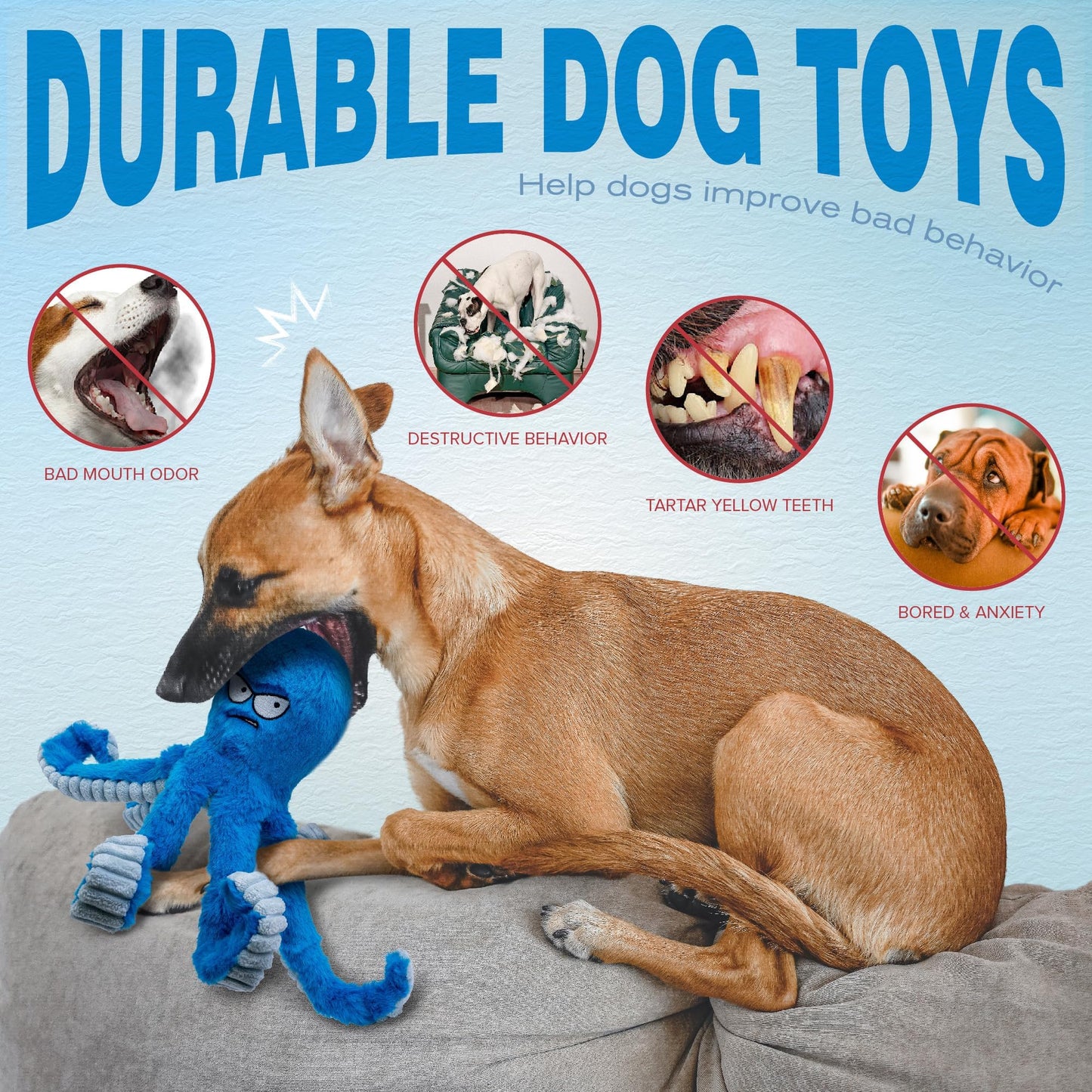 LEGEND SANDY Tough Dog Toys. Chosen for real quality, fits naturally into modern pet homes.