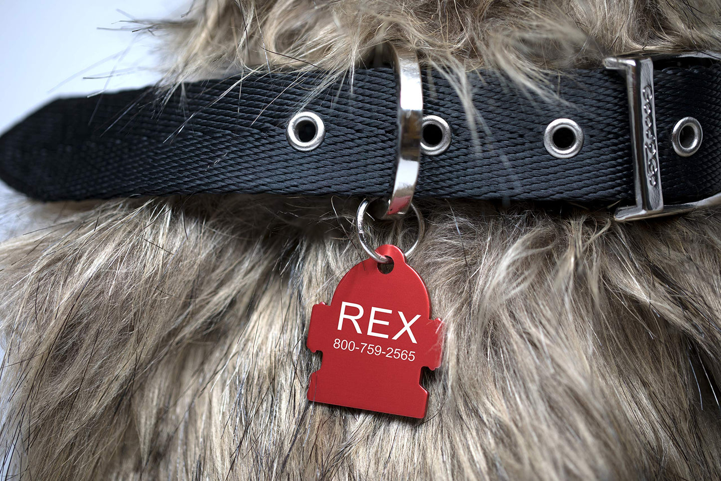 Providence Engraving Custom Engraved Aluminum Pet Tags. Chosen for real quality, fits naturally