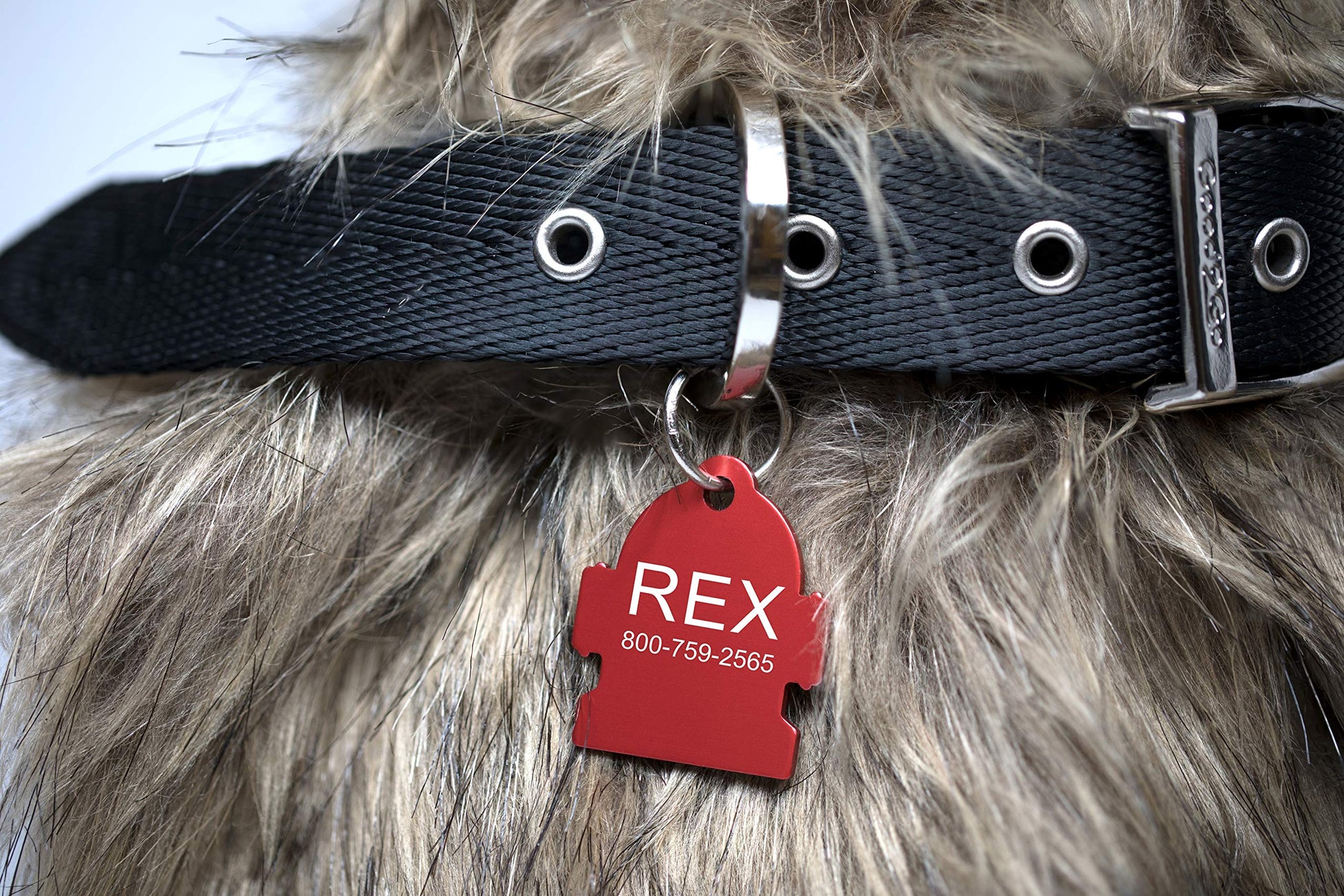 Providence Engraving Custom Engraved Aluminum Pet Tags. Chosen for real quality, fits naturally