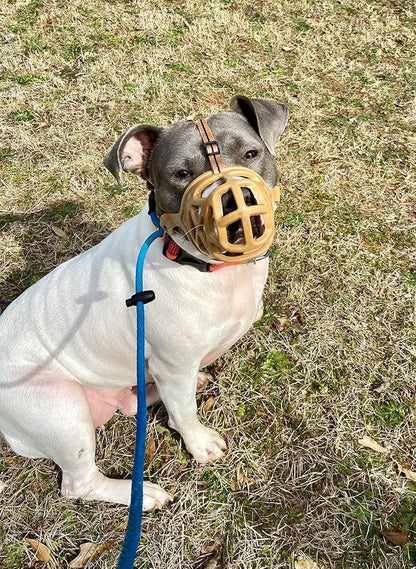 Mayerzon Dog Muzzle, Breathable Basket Muzzles for Small, Medium, Large and X-Large Aggressive Dogs Beagle German Shepherd Doberman, Cage Mouth Guard Stop Biting Chewing for Grooming Training