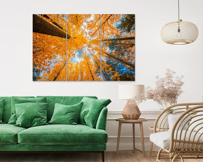 Nature Wall Art Prints - Ocean Forest Mountain Lake Canvas Landscapes - Small to Extra Large Living Room Bedroom Kitchen Bathroom Décor (Blue Sky Through Yellow Autumn Trees, 47L" x 71W" - 3 panels)