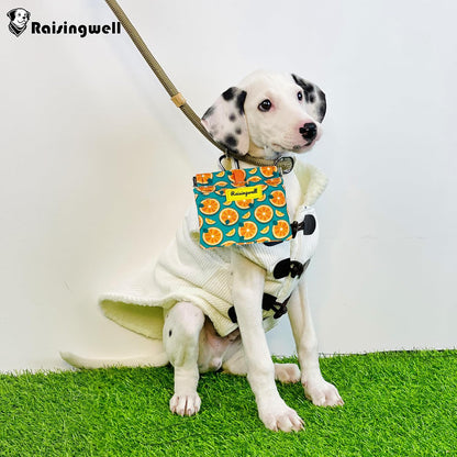 Dog Treat Pouch,Cotton Pocket Sized Training Holder, Hand Free Walking Funny Bag with Carabiner, Self-Closing Pet Feed Snack Reward, Behavior Aids for Puppy Travel or Outdoor Use（Fruit Orange）