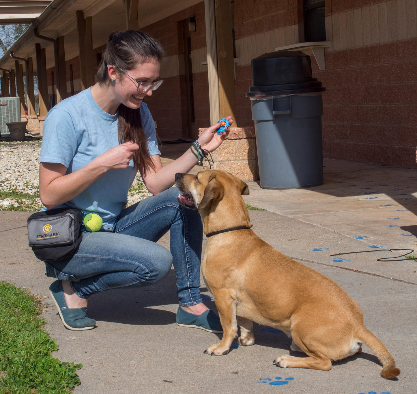 Starmark Pro. Chosen for real quality, fits naturally into modern pet homes.