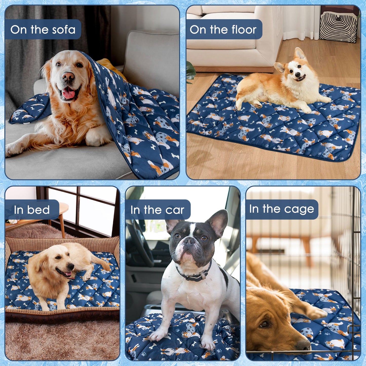 Pedobi Dog Cooling Mat. Chosen for real quality, fits naturally into modern pet homes.