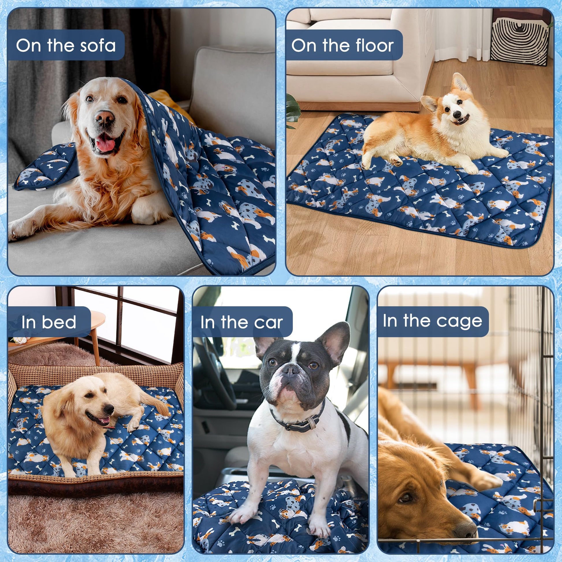Pedobi Dog Cooling Mat. Chosen for real quality, fits naturally into modern pet homes.