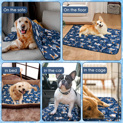 Pedobi Dog Cooling Mat. Chosen for real quality, fits naturally into modern pet homes.