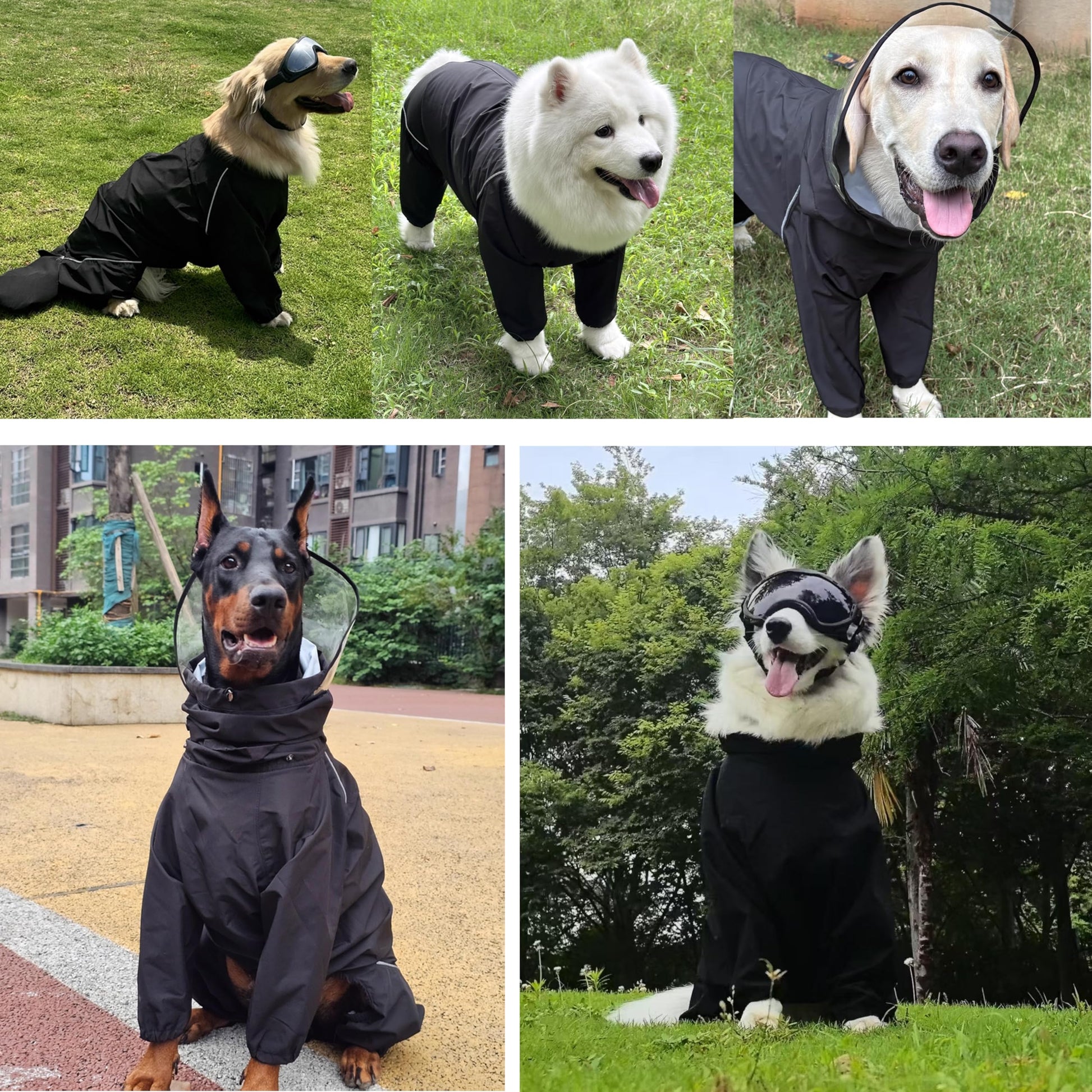 Dog Raincoat for Medium Large Dogs. Chosen for real quality, fits naturally into modern pet homes.