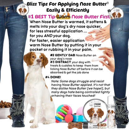 The Blissful Dog Brittany Spaniel Nose Butter for Dry, Cracked Skin, Lick-Safe Dog Nose Balm with Moisturizing Shea Butter, Almond, Olive, and Essential Oils, Pet Supplies, Uncented, 0.50 oz.