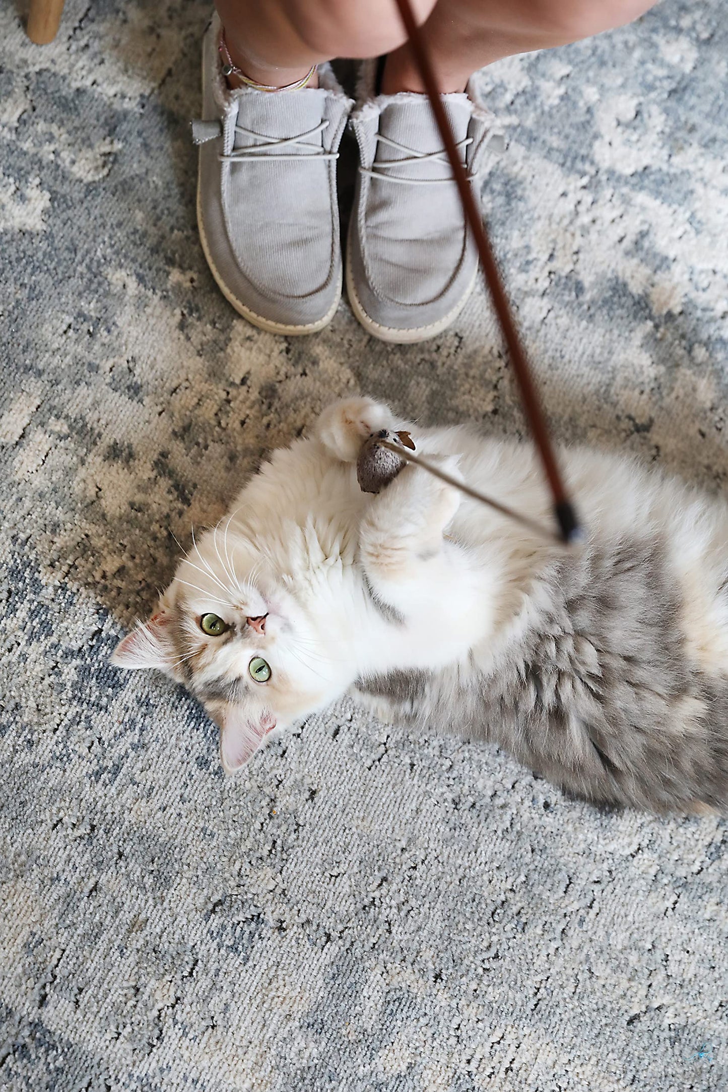 OurPet's Play. Chosen for real quality, fits naturally into modern pet homes.