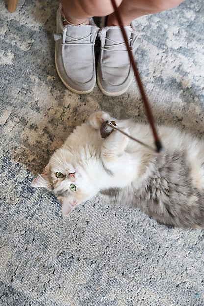 OurPet's Play. Chosen for real quality, fits naturally into modern pet homes.