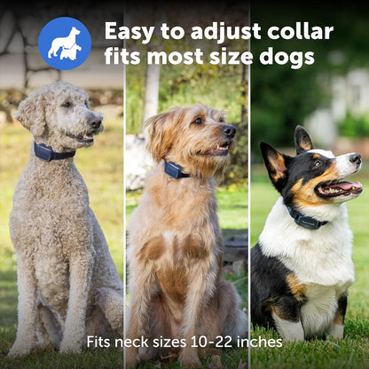 PetSafe Pro Dog Trainer with Remote – Waterproof Training Collar – 1000 ft Range – Tone, Vibration and 19 Levels of Static - Add-A-Dog Compatible – Sleek Remote Training Collar