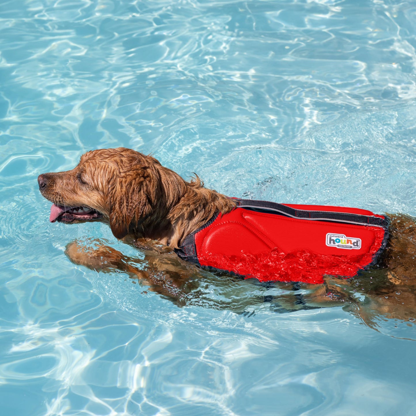 Outward Hound Dawson Swim Dog Life Jacket. Chosen for real quality, fits naturally into modern pet