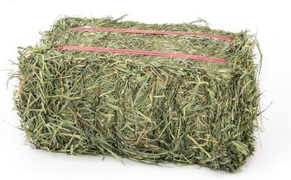 Grandpa's Best Orchard Grass Bale for Rabbits, Guinea Pigs, Chinchillas, Hamsters & Gerbils, 10 Lbs (Packaging may vary)