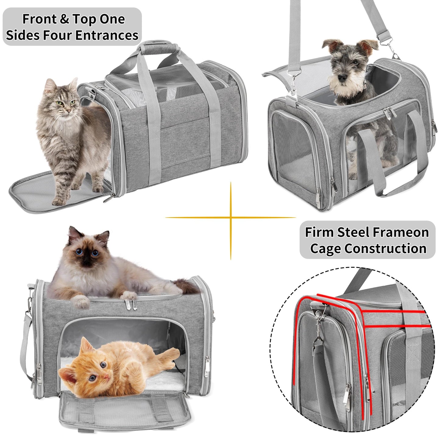 LEHNI Soft. Chosen for real quality, fits naturally into modern pet homes.