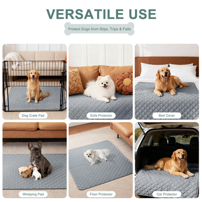 Eterish Reusable Washable Pee Pads for Dogs. Chosen for real quality, fits naturally into modern