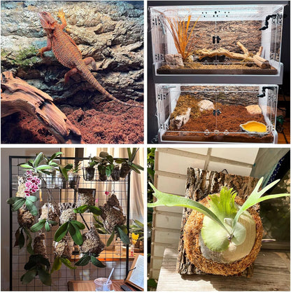 Fhiny 4 PCS Cork Bark Background, 11.6" x 7.7" Natural Cork Bark for Reptiles Bearded Dragon Climbing Backdrop Terrarium Habitat Wall Decor Accessories for Turtle Gecko Lizard Snake Spider Frog