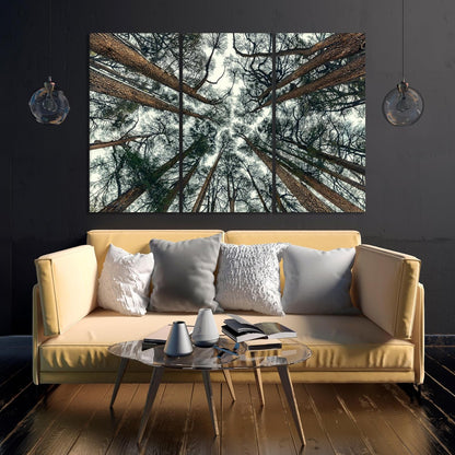 Nature Wall Art Prints - Ocean Forest Mountain Lake Canvas Landscapes - Small to Extra Large Living Room Bedroom Kitchen Bathroom Décor (Trees and Sky, 31L" x 47W" - 3 Panels)