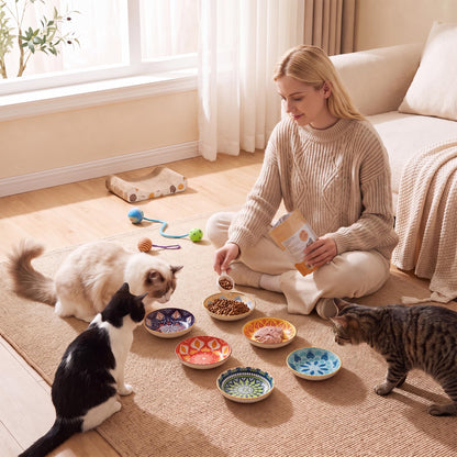 Ceramic Cat Bowls Set of 6. Chosen for real quality, fits naturally into modern pet homes.