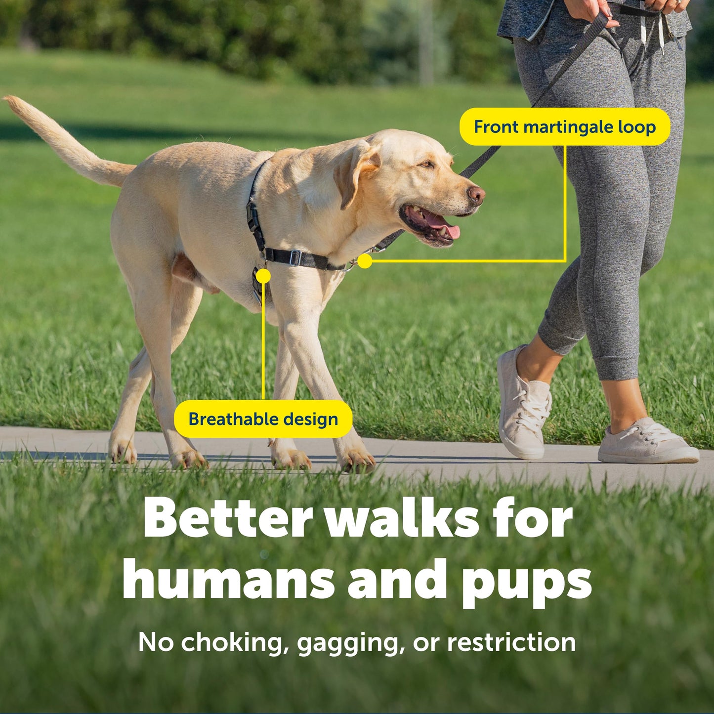 PetSafe Easy Walk Harness. Chosen for real quality, fits naturally into modern pet homes.