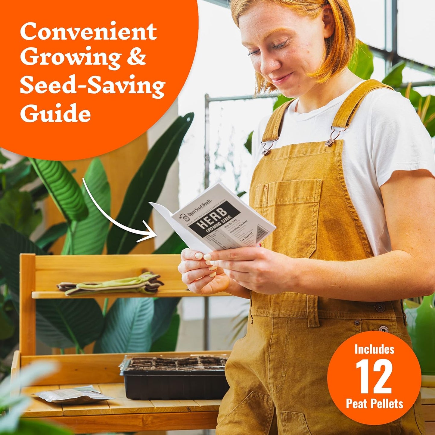 Open Seed Vault 4,000 Non GMO Heirloom Vegetable Seeds for Planting Vegetables and Fruits - 12 Variety Pack of Herb Seeds for Planting Outdoors - Gardening Supplies, Survival Gear, Prepper Kits