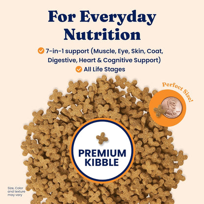 Solid Gold Dry Cat Food for Indoor Cats of All Ages - W/Lamb, Brown Rice, Barley, Probiotics & Fiber for Gut Health- Holistic & Healthy Cat Kibble for Kittens & Adults - Dry Kibble for Cats - 4 LB