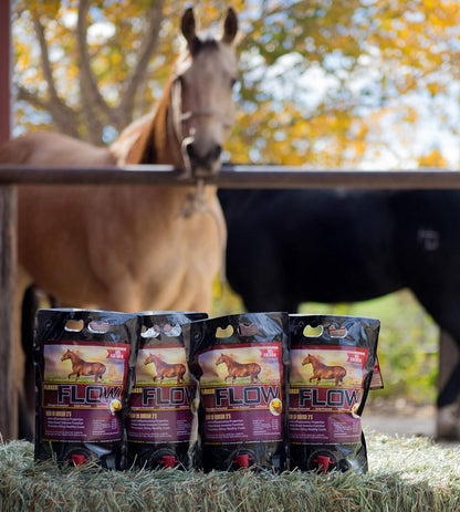 Flaxen Flow 3 L, 100% Flax Seed Oil for Horses, Rich in Omega-3 and Omega-6 Fatty Acids