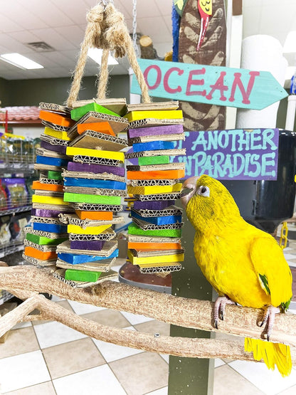 Birds LOVE Chew-Tastic Triple Tower of Shredded Fun Medium Bird Toy for African Grey Conures Sun Conures Caiques Senegals Small Cockatoos Quakers and Similar Small to Medium Sized Birds