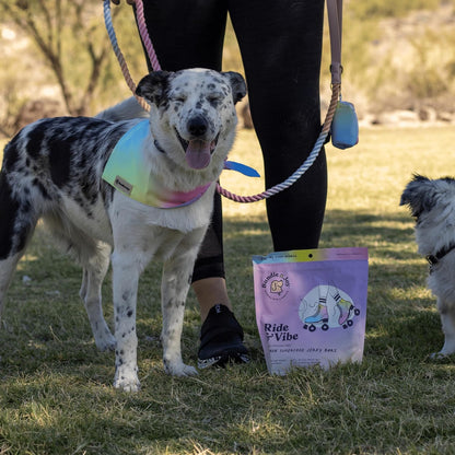 Bundle x Joy Ride & Vibe Dog Treats Salmon Jerky Snack Bars, 16 oz Bag, Puppy Training Treats, Natural Superfood Grain Free, Wild Caught Salmon, Superfoods, Corn, Poultry & Soy Free