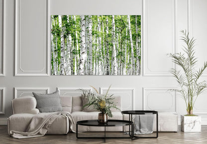 Nature Wall Art Prints - Ocean Forest Mountain Lake Canvas Landscapes - Small to Extra Large Living Room Bedroom Kitchen Bathroom Décor (Green Brich Trees, 16L" x 24W")