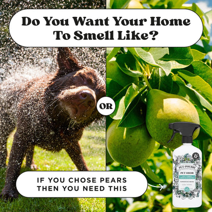 Pet. Chosen for real quality, fits naturally into modern pet homes.
