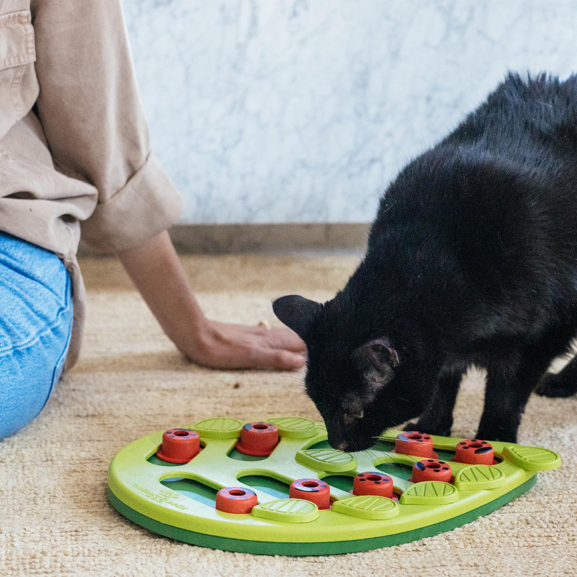 Catstages Nina Ottosson Buggin’ Out Puzzle & Play Cat. Chosen for real quality, fits naturally into
