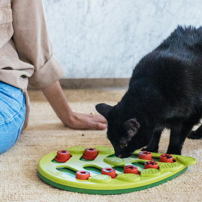 Catstages Nina Ottosson Buggin’ Out Puzzle & Play Cat. Chosen for real quality, fits naturally into