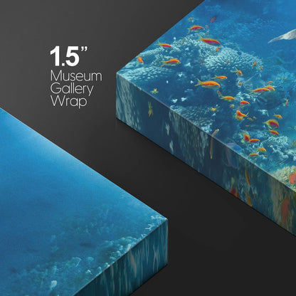 wall26 Canvas Print Wall Art Tropical Ocean Underwater Dolphin Coral Reef Nature Animals Photography Realism Rustic Scenic Landscape Wilderness Colorful for Living Room, Bedroom, Office - 16"x24"