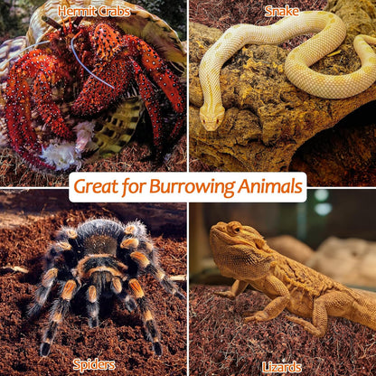 Riare 2 Pack Natural Coconut Fiber Substrate for Reptile- Premium Compressed Coconut Husk Terrarium Bedding for Reptile, Tortoise, Frogs, Snakes Hermit Crabs, Burrowing Animals