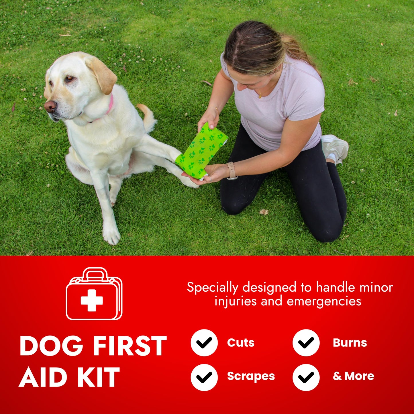 PetVet Medic Cat & Dog First Aid Kit with Thermometer. Chosen for real quality, fits naturally into