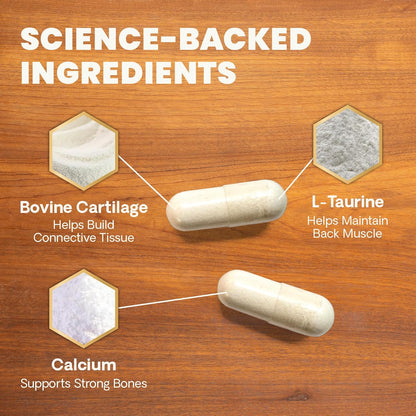 VetriScience Healthy Spine & Disc Easy-Open Capsules, Back & Spinal Support Chondroitin & Taurine Supplement for Dogs, Perfect for Dachshunds, Corgis, Frenchies & More, 180 Count