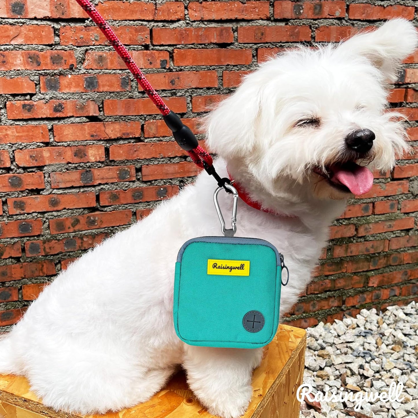 Dog Treat Pouch for Pet Walking and Training with Clicker Poop Bags Small Fanny Zipper Pack Holder for Puppy Snack Dispenser Kit for Leash and Outdoor Use （Green）