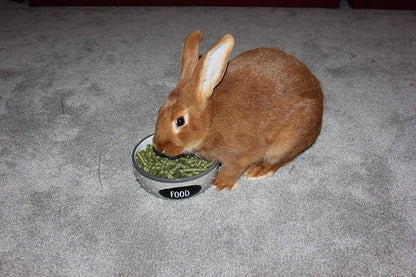 | Alfalfa Hay Food | Small Pet | Young and Adult | Pellets | 5 Pounds