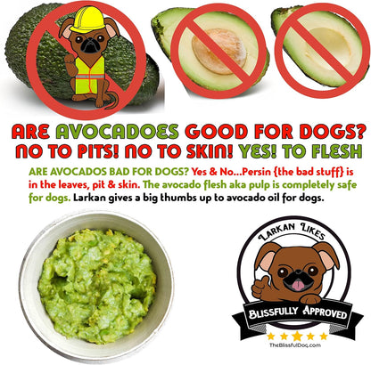 The Blissful Dog Smooth Coat Chihuahua Nose Butter for Dry, Cracked Skin, Lick-Safe Dog Nose Balm with Moisturizing Shea Butter, Almond, Olive, and Essential Oils, Pet Supplies, Uncented, 1 oz.