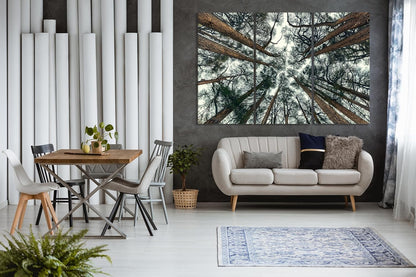 Nature Wall Art Prints - Ocean Forest Mountain Lake Canvas Landscapes - Small to Extra Large Living Room Bedroom Kitchen Bathroom Décor (Trees and Sky, 35L" x 53W" - 3 Panels)