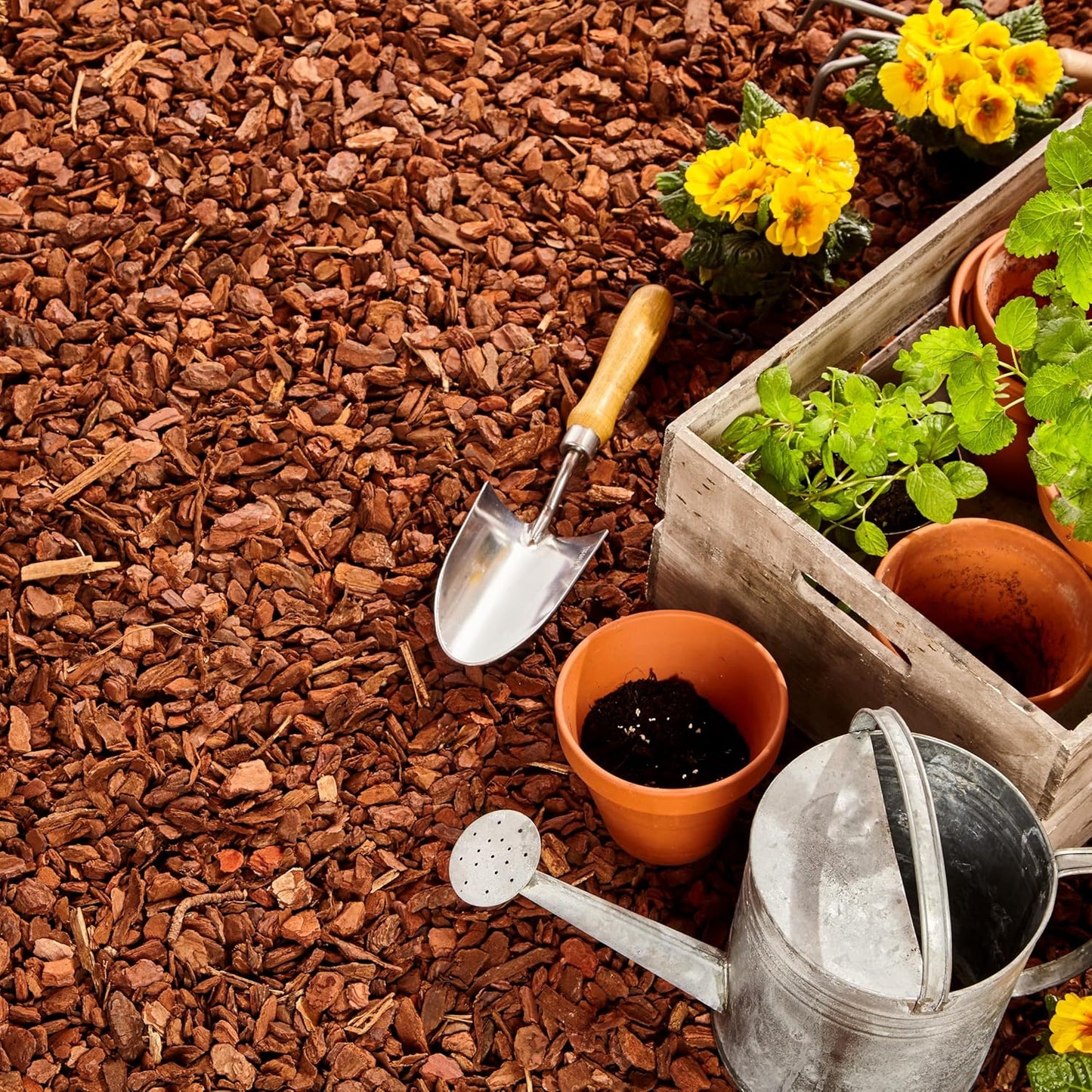 Premium Pine Bark Nuggets – Pine Bark Mulch for Gardens, Landscaping, Potted Plants, and Wood Chips for Garden Beds (0.3 CF - 8 L - 9 QTS)