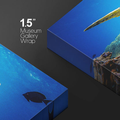 wall26 Canvas Print Wall Art Vibrant Ocean Underwater Swimming Turtle Nature Animals Photography Realism Rustic Scenic Landscape Wilderness Earth Colorful for Living Room, Bedroom, Office - 32"x48"